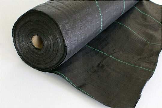 Grasher 100987 Agro Textilien Bodendecker 100gr/m² 1x10m Schwarz
