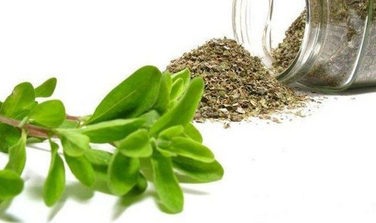 Herbstore Μαντζουράνα 40gr
