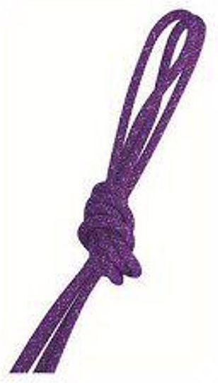 Pastorelli New Orleans 3m Rhythmic Gymnastics Rope 3m Purple