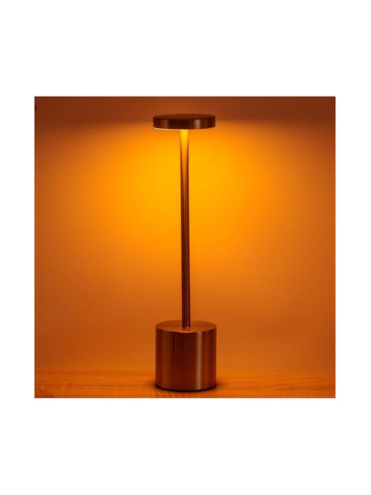 Decorative Lamp