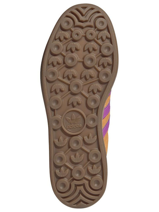 Gazelle Bold Sneakers Flaora / Purbur / C