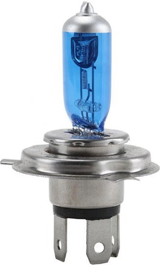 Lamps Car H4 Halogen White 100W 1pcs