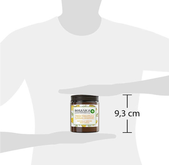 Airwick Lumânare decorativă Botanica 205 g