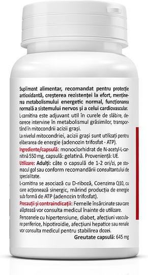 Zenyth N-Acetyl L-Carnitine cu Carnitină 550mg și Gust Energie 60 capace