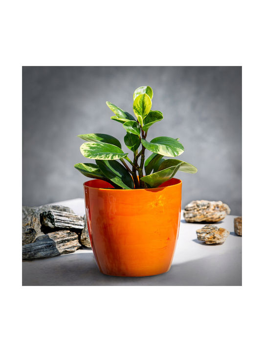 Kadax Pot Orange Marble 18cm.