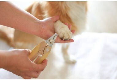 Magic Brush Mașină De Tăiat Unghiile 80141