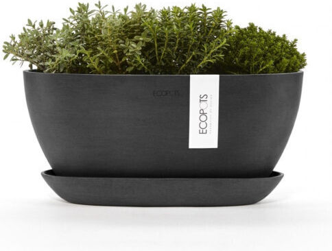 Ecopots Plant Pot Plastic Black Ecopots Plant Pot Plastic Black