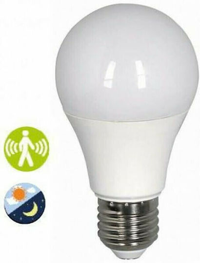 GigaWatt LED Bulb 12W for Socket E27 and Shape A60 Cool White 1250lm