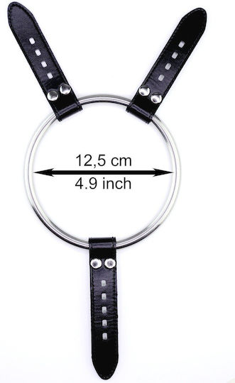 Carmen Rivera High Quality Stainless Steel Ring Xxl Strapon Dildos 12,5 Cm