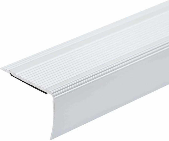 Vidaxl Stair Edge Protectors 10 Pieces Silver 67 Cm Aluminum