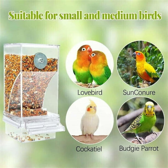 Birds Kingdom Alimentator Hrănirea păsărilor în Transparent Culoare