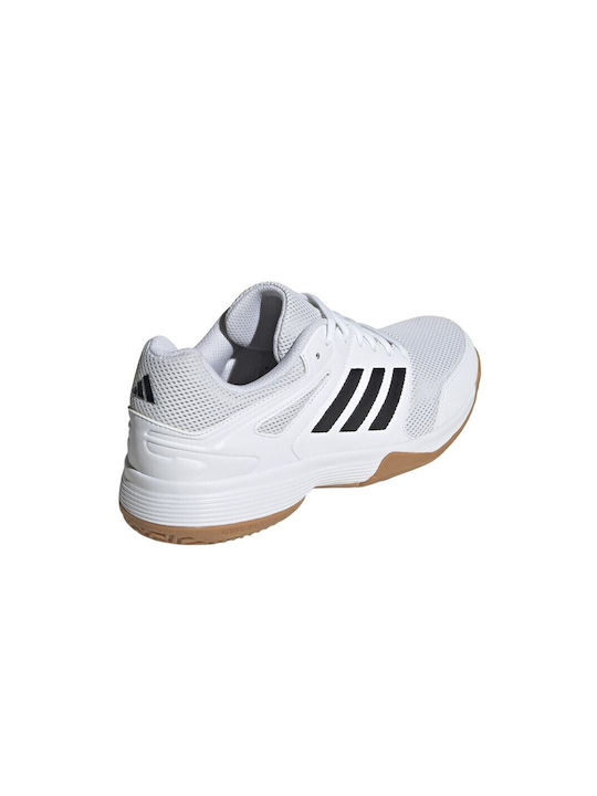 Speedcourt Sport Shoes Volleyball Cloud White / Core Black / Gum