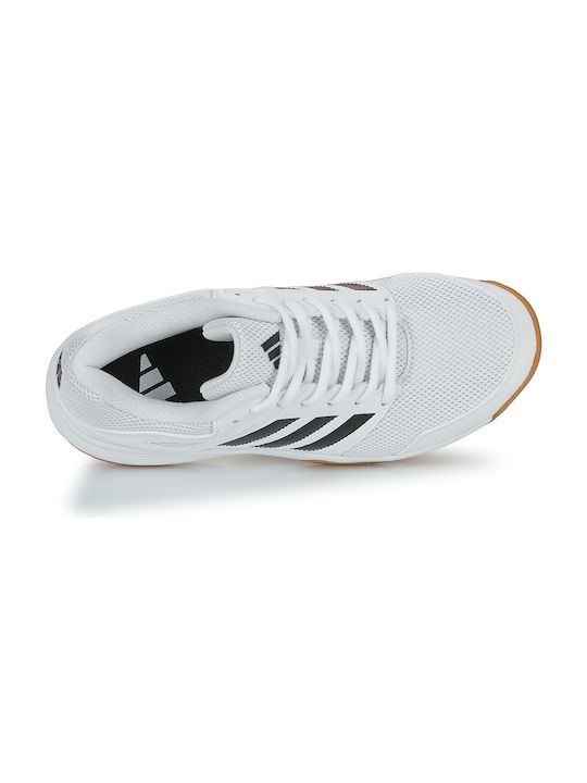 Speedcourt Sport Shoes Volleyball Cloud White / Core Black / Gum