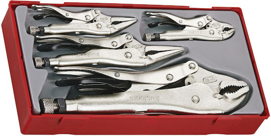 Teng Tools Zangensatz 5Stück