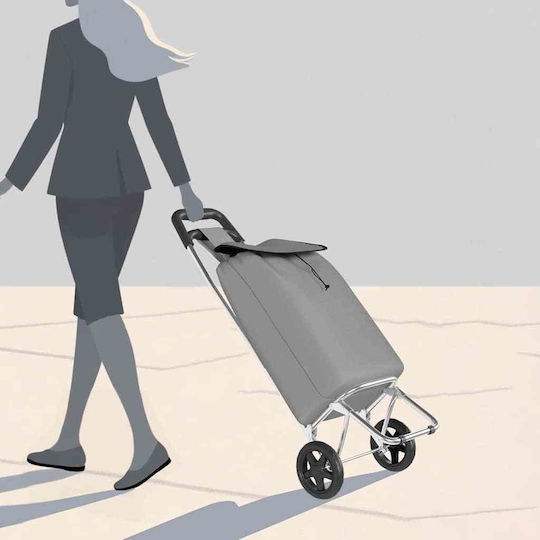 Shopping Trolley Gray 92x92x92cm
