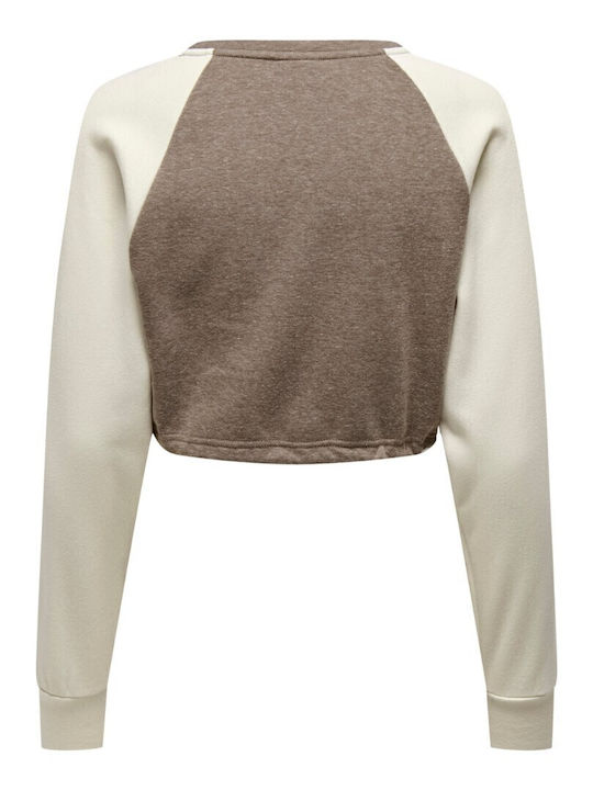 Cropped Women's Sweatshirt Brown