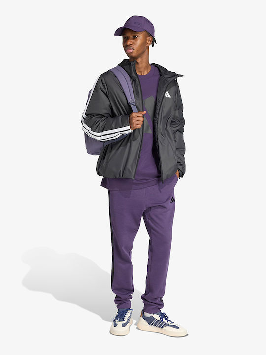 3 Stripes Sweatpants with Elastic Purple