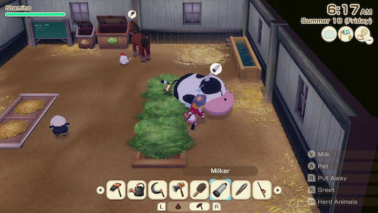 Story of Seasons: Grand Bazaar Limited Издание Игра за Switch