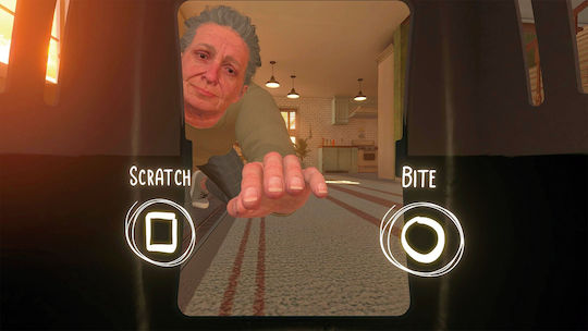 Copycat PS5 Game