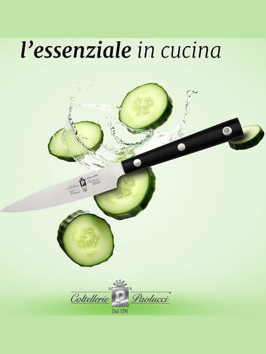 Paolucci Coltellerie Sushi Line Knife Chef from Stainless Steel 10cm