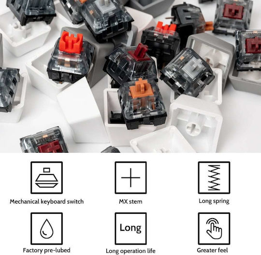 Speed Switches Πληκτρολογίου G144 Tactile 110τμχ 5-pin