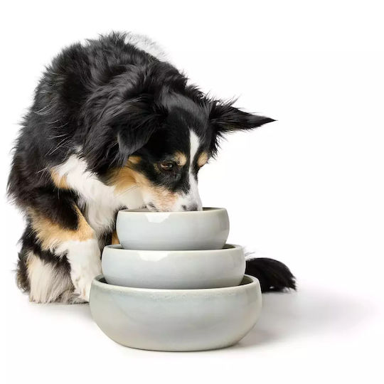 Hunter Ceramic Bowl Food & Water for Dog & Cat with Base 1.5lt