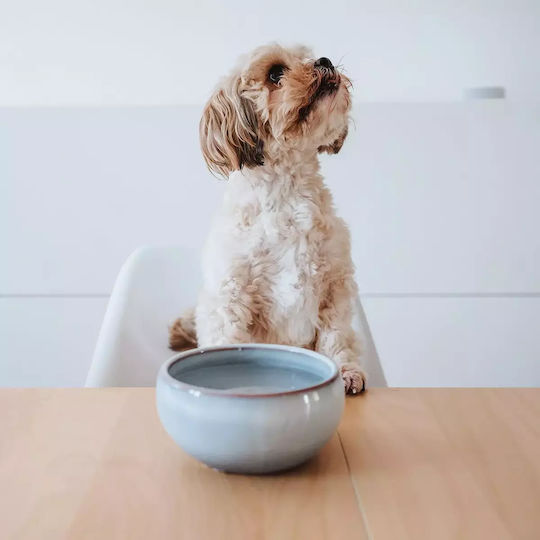 Hunter Ceramic Bowl Food & Water for Dog & Cat with Base 550ml