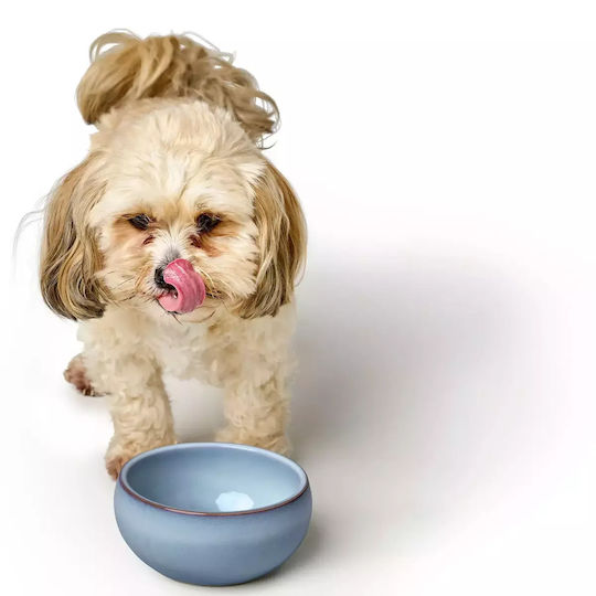 Hunter Ceramic Bowl Food & Water for Dog & Cat with Base 1.5lt