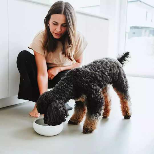 Hunter Ceramic Bowl Food & Water for Dog & Cat with Base 900ml