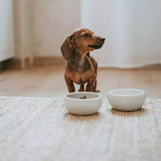 Hunter Ceramic Bowl Food & Water for Dog & Cat with Base 1.5lt