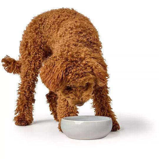 Hunter Ceramic Bowl Food & Water for Dog & Cat with Base 1.5lt