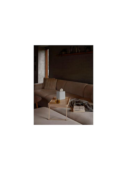 Zone Denmark Θήκη για Χαρτομάντηλα Πλαστική Γκρι 13x13x15.1cm 36026