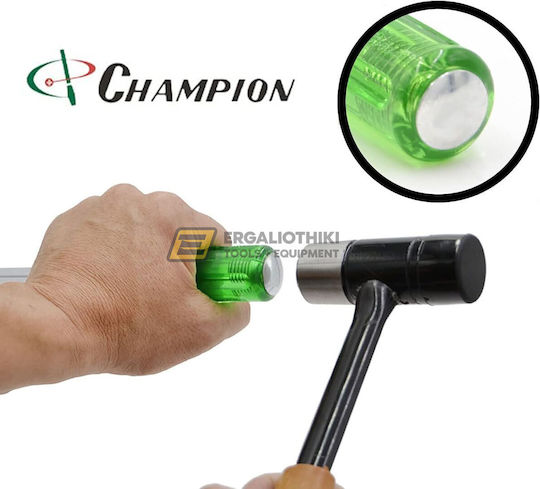 Champion Σετ 7 Κατσαβίδια