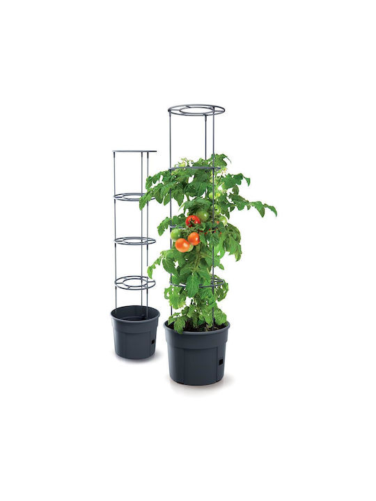 Γλαστράκι Tomato Grower, Y31,5x∅39,2εκ