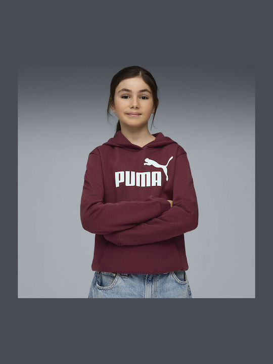 Kids Sweatshirt with Hood Burgundy Hoodie Fl