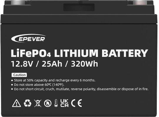 Epsolar Photovoltaic Battery Lithium 12V (08.03.0036)