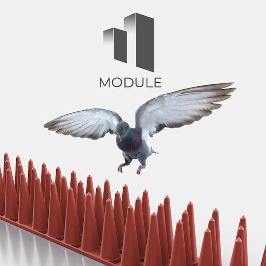 Module Σετ 12 Τμχ Ακίδες Απώθησης Πουλιών / Γατών 0.5x0.05m