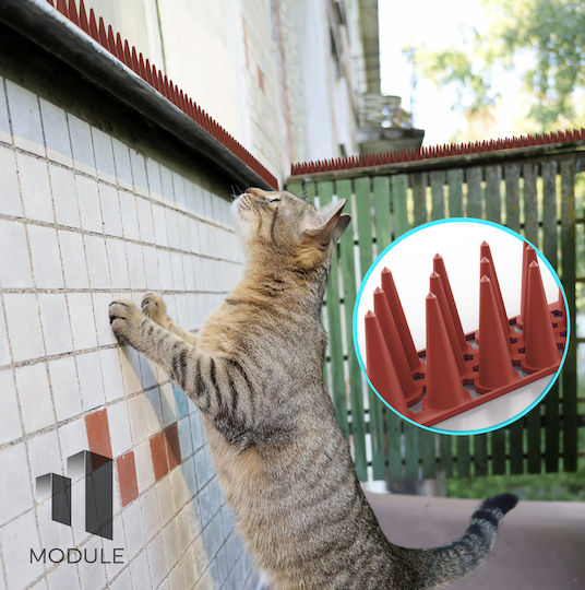 Module Σετ 12 Τμχ Ακίδες Απώθησης Πουλιών / Γατών 0.5x0.05m
