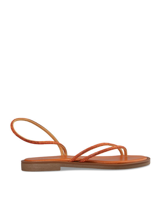 Tsouderos Shoes