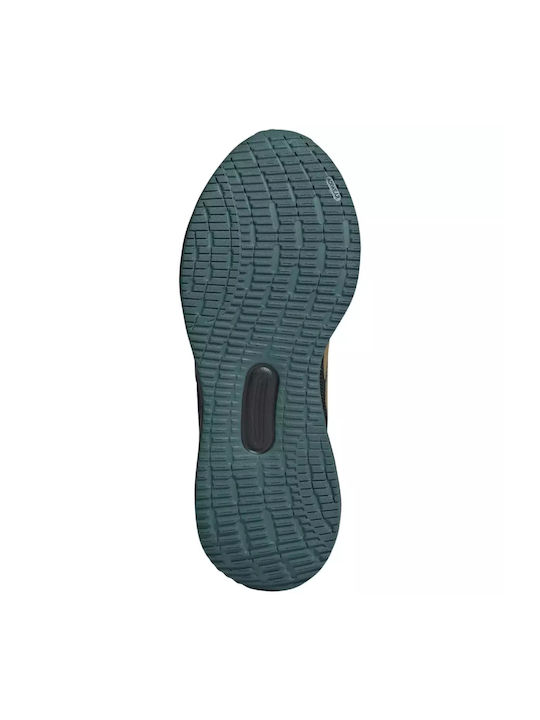 Runfalcon 5 Sport Shoes Running Black