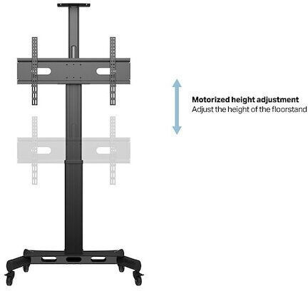 Multibrackets MB-5834 TV Mount Floor up to 75" and 60kg