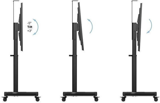 Multibrackets MB-5834 TV Mount Floor up to 75" and 60kg