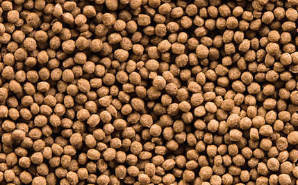 Sera Goldfisch Granulat Nature 250ml/75g