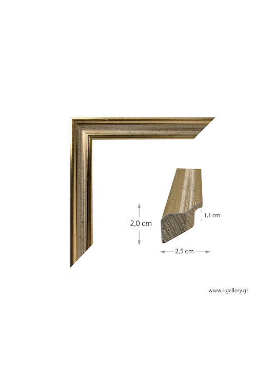 I-gallery Wooden Photo Frame With Gold Frame 2010-04