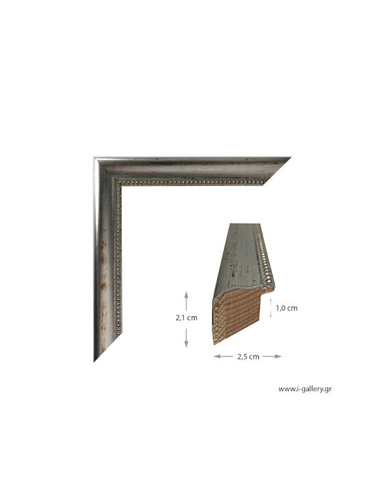 I-gallery Wooden Photo Frame with Silver Frame 077-02