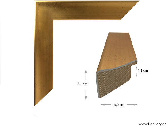 I-gallery Photo Frame with Gold Wooden Frame 20x30 I-gallery Photo Frame with Gold Wooden Frame 20x30