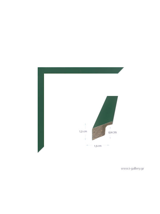 I-gallery Wooden Photo Frame With Green Frame 256-06