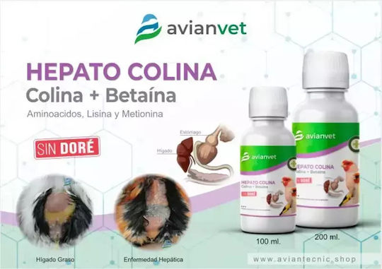 Avianvet Hepatocolina – Αναγέννηση Ηπατικών Κυττάρων 100ml