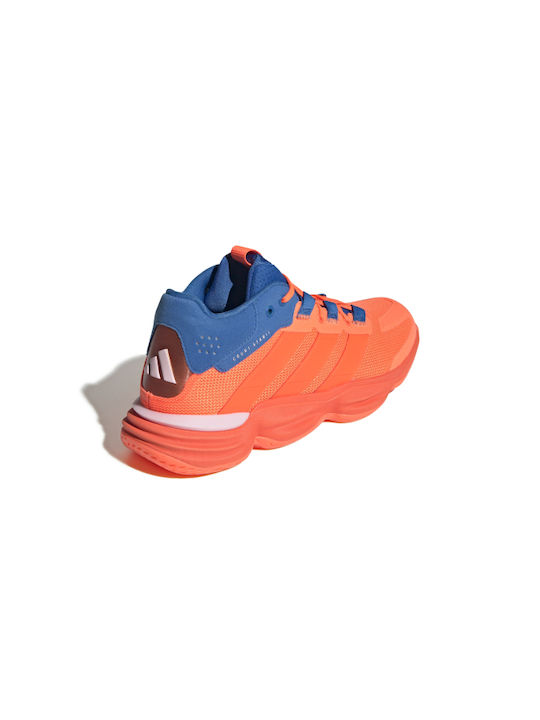 Courtstabil Sport Shoes Handball Orange