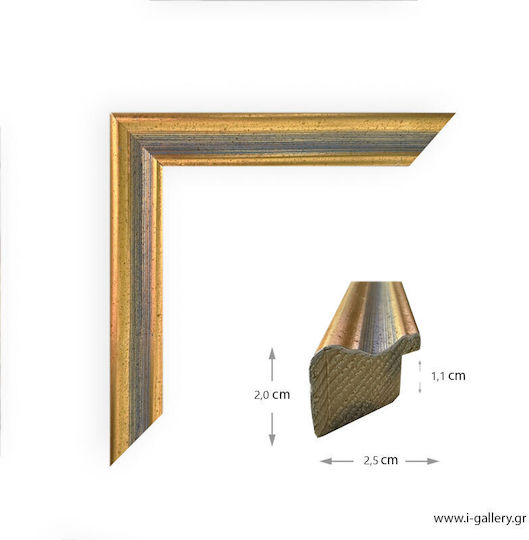 I-gallery Wooden Photo Frame With Gold Frame 2010-05